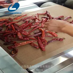 磊沐 烧烤料微波干燥杀菌设备 全自动复合调味料微波杀菌及
