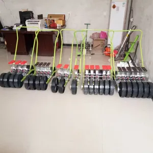 ���ʼ����ѹ�Ӣ������ С�������߲˾����� ʥ³��ͼƬ��Ƶ