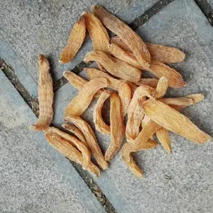 �����������������˹���ֲ����_����ֱ��
