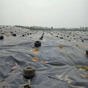 吉林藕池土工膜 土工膜价格