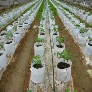 ��ˮ��˫ɰʯ������ ����PE�� �ι��