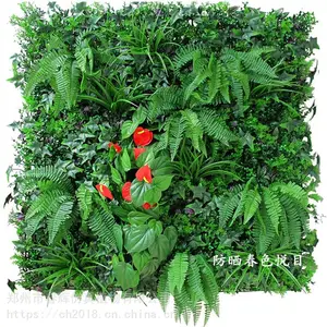 �̳����з�����ֲǽ�ֳ�����
