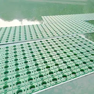 人工水生植物浮岛
