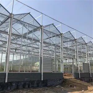 ���ϲ������Ҵ���Ǽ� ������̬�������Ҵ��ﲣ�����Ҷ���Ǯ ̩���������Ҵ������