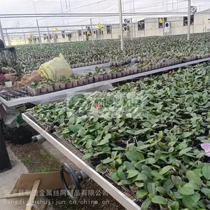 �����紲��-��п�紲��-��������湩Ӧ-�����紲ũҵ