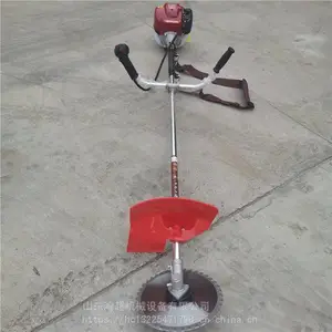 ԰�ָ��� ���Ա���ʽ��� ��԰���ݸ�ݻ� ����������