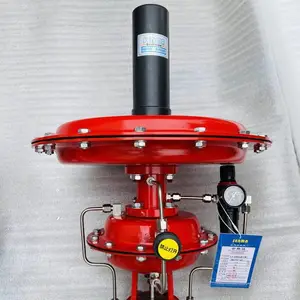 SENMA����ʽ��Ĥ΢ѹ���ڷ�ZZYVP-16P�������ⷧ