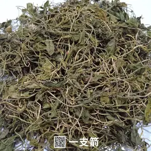 中药材一支箭-正宗干燥当年货一支箭的价格
