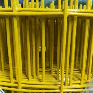供应现货荷兰围网/厂家直销动物围栏网