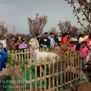 ���ճ������ճ��ۼ۸�