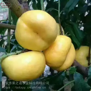 ������۸�ë����硢�����4����������Ʒ�ּ۸����