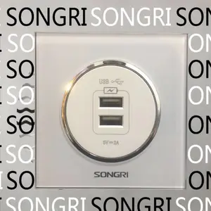 SONGRI双联USB插座250V 16A European Standa欧洲标准USB充电墙壁插座