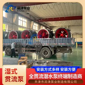 全贯流潜水电泵实体厂家 量大从优支持定制 润津泵业