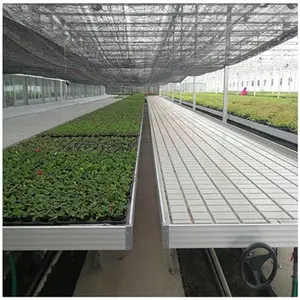 ��ϫʽ�紲��ʵ��ũҵ��ϸ������������