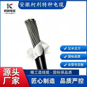 KX?FFRP?32 细钢丝铠装补偿电缆,氟塑料铜丝屏蔽,耐高温抗干扰,K 型热电偶工业埋地测温信号线缆