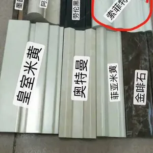 佛山市顺德区栋洋公司