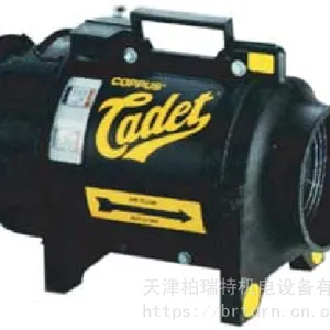 COPPUS�� ���ڷ�� CADET���ķ�� ���ڵ綯��� VEP4