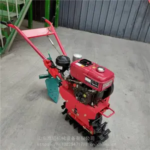 ���Ĵ���԰�ַ��˵ػ� �ַ�ʽ��������΢���� ������ػ�