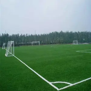 ����ɸ��������ƺ��Ӧ ��ֲ̨��ǽ��ɫֲ�� �����Ƥ���Ĳ�