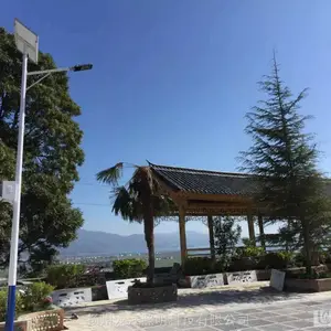 ���ƾ���̫����LED·��36��/����6��̫����·��/����25���Զ������߸˵�