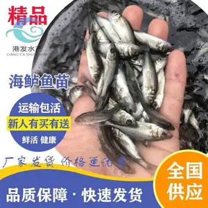 �ձ��������� ��ˮ���� �������� ����������ֳ����