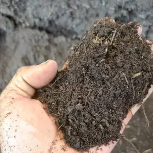 ԭ��̬��̿�����������л���̿����԰������������ר��Ӫ����