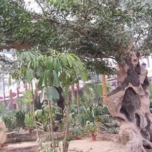 合肥假山喷泉-安徽天伦市政工程-小型假山喷泉