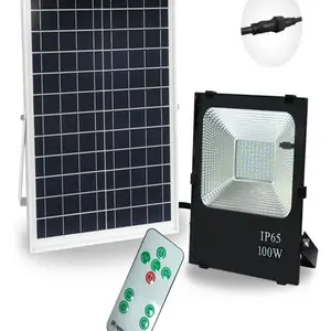 芯鹏达100W新农村户外照明太阳能路灯节能环保庭院灯