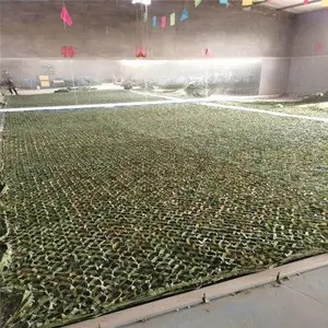 ���⹫԰�Բ��� ��ɫ�Բ��� �̻�����αװ��
