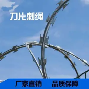 小区围墙防护刀片刺绳 ***围墙防爬刀片刺绳 边境防护 润宁