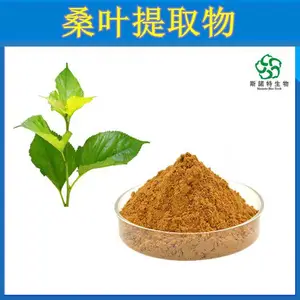 桑叶提取物速溶粉 斯诺特生物 支持测试拿样 压片糖果原料