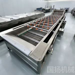 国扬 果蔬气泡清洗机 高压喷淋式洗菜机 操作便捷 可根据需求定制