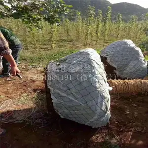 斌佳贵州国外专用树根网@@包树根网篮@@黑铁丝编织树根网