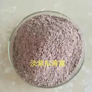 .供应农业种植淡紫拟青霉菌