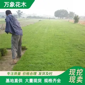 ���Ʋݲ�ƺ��Ƥ �������μ� �ͼ�̤��ˮʪ�� �˶�������