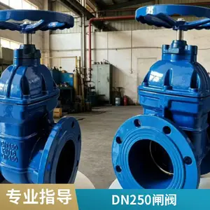 DN100 ��������բ�� ���ܷ�բ�� �������� ��ī���� ������ˮ ����ֱ�� ֧�ֶ���