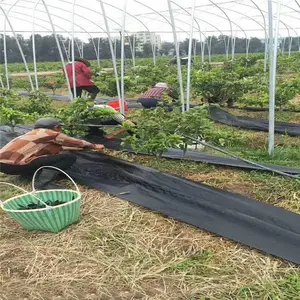 防草布价格多少价格一平方