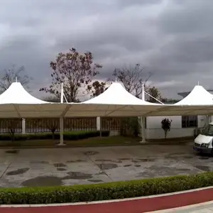 �㶫�Ƹ� Ұ��¶Ӫ���� ������ͤ��Ĥ�ṹ������ �г��ֽṹ����