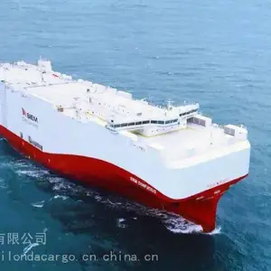 Roseau����������˹�װ��RORO������MAFI��