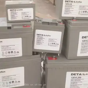 德国DETA银杉蓄电池12VEG100F 12V100AH前置式狭长型电池