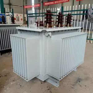 S11-100KVA/20��2*2.5/0.4 20KV�ͽ�ʽ��ѹ�� ��о ����