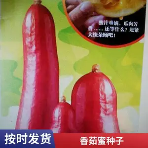 ������ ���ȹ��������� ��ֲ����ֱ��