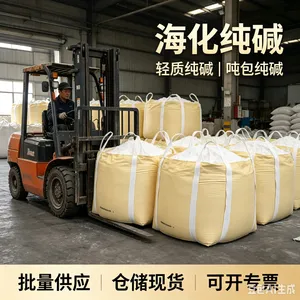 山东海化轻碱轻质碳酸钠轻质纯碱