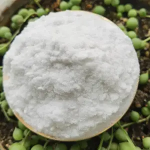 ���������˼� �����ҹ��˲��� ���������� �����ҹ�������