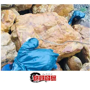 �麣����ʯ ���۶�λ����ʯͼƬ ͥԺ��ɽ��ˮ����ʯ����