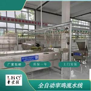 全自动小型杀鸡流水线集中屠宰鸡浸烫池鸡脱毛机