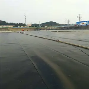 ����������������2.0HDPE����Ĥ RunYe/��ҵ������ػ��·���Ĥ������