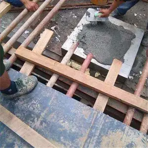 ֧���ཬ�� ɽ����ɭ�ཬ�ϳ���ֱ��