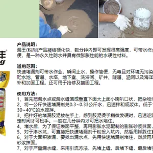 六盘水市区内墙防水补漏堵漏推荐货源 服务为先 时代防水材料供应