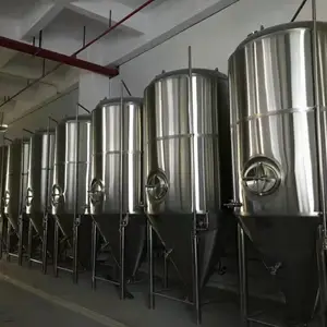 大型精酿啤酒设备定制厂家，精工打造高品质酿啤设备